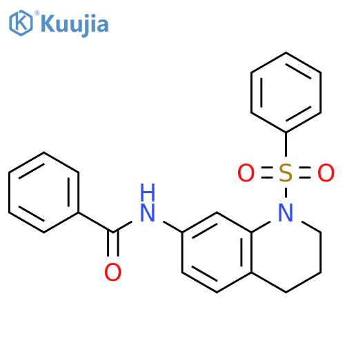 N-[1-(benzenesulfonyl)-1,2,3,4-tetrahydroquinolin-7-yl]benzamide structure