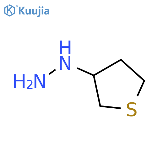 (thiolan-3-yl)hydrazine structure