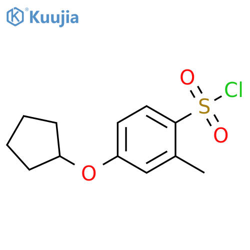 4-(cyclopentyloxy)-2-methylbenzene-1-sulfonyl chloride structure