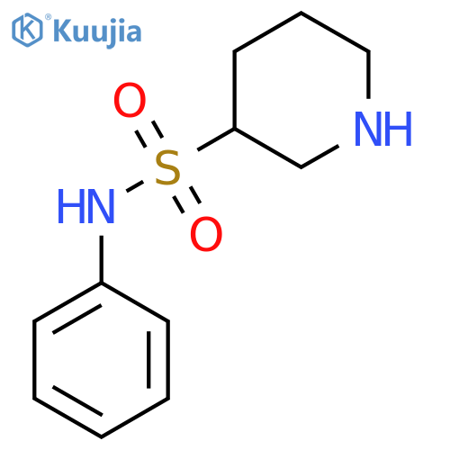 N-phenylpiperidine-3-sulfonamide structure