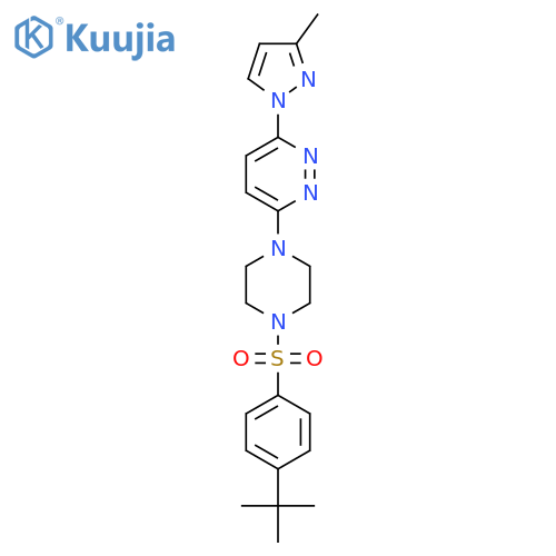 3-[4-(4-tert-butylbenzenesulfonyl)piperazin-1-yl]-6-(3-methyl-1H-pyrazol-1-yl)pyridazine structure