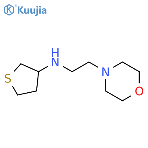 N-[2-(morpholin-4-yl)ethyl]thiolan-3-amine structure