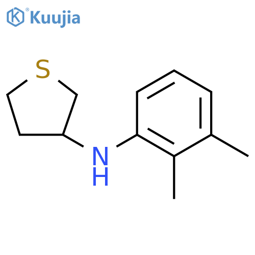 N-(2,3-dimethylphenyl)thiolan-3-amine structure