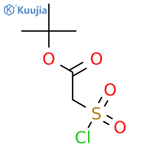 tert-butyl 2-sulfoacetate structure