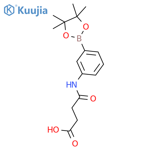 3-Succinamidophenylboronic Acid Pinacol Ester structure