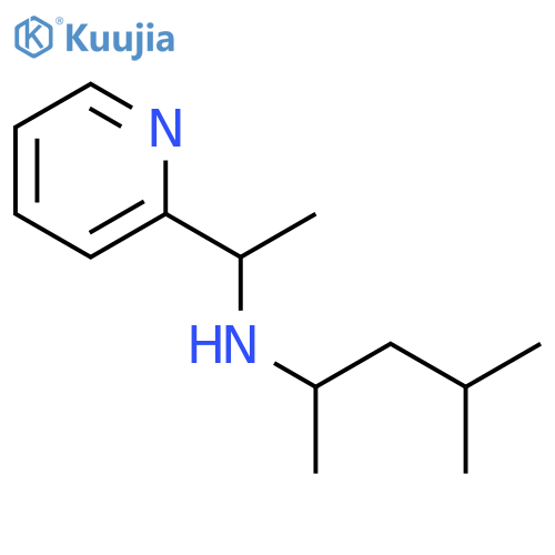 (4-methylpentan-2-yl)[1-(pyridin-2-yl)ethyl]amine structure