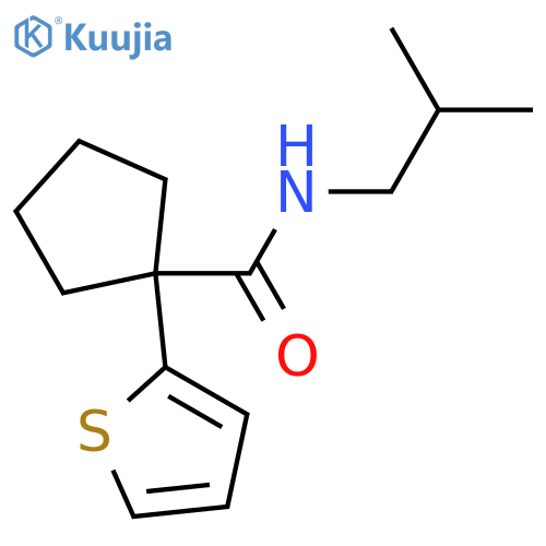 N-(2-methylpropyl)-1-(thiophen-2-yl)cyclopentane-1-carboxamide structure