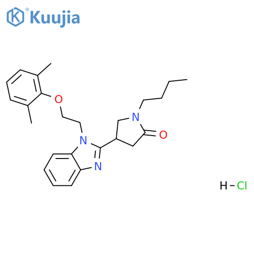 1-butyl-4-{1-[2-(2,6-dimethylphenoxy)ethyl]-1H-1,3-benzodiazol-2-yl}pyrrolidin-2-one hydrochloride structure