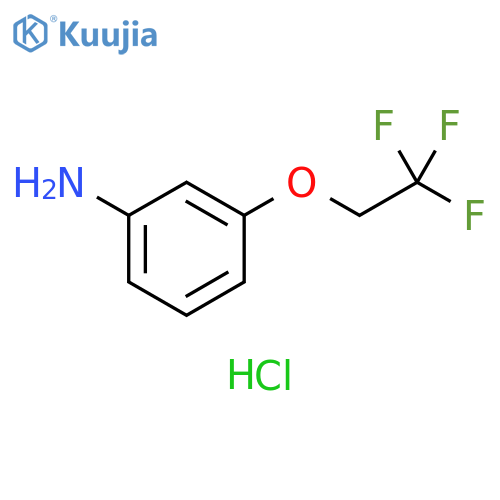 3-(2,2,2-trifluoroethoxy)aniline hydrochloride structure