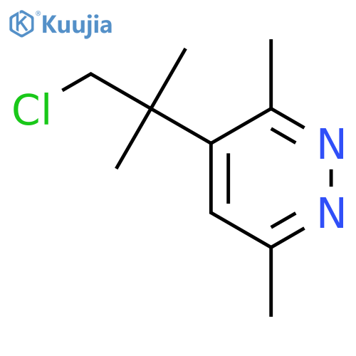 Pyridazine,4-(2-chloro-1,1-dimethylethyl)-3,6-dimethyl- structure