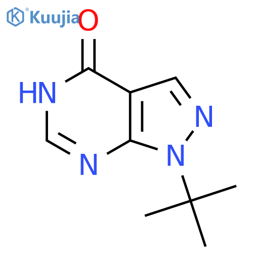 1-tert-butyl-1H,4H,5H-pyrazolo[3,4-d]pyrimidin-4-one structure