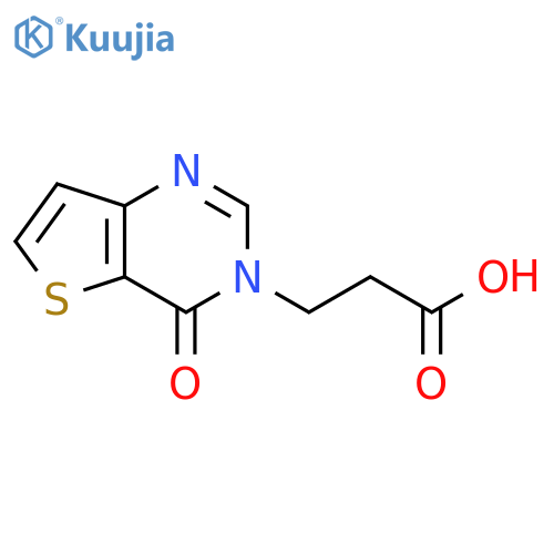 3-{4-oxo-3H,4H-thieno[3,2-d]pyrimidin-3-yl}propanoic acid structure