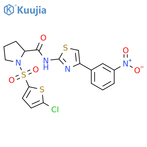 1-[(5-chlorothiophen-2-yl)sulfonyl]-N-[4-(3-nitrophenyl)-1,3-thiazol-2-yl]pyrrolidine-2-carboxamide structure
