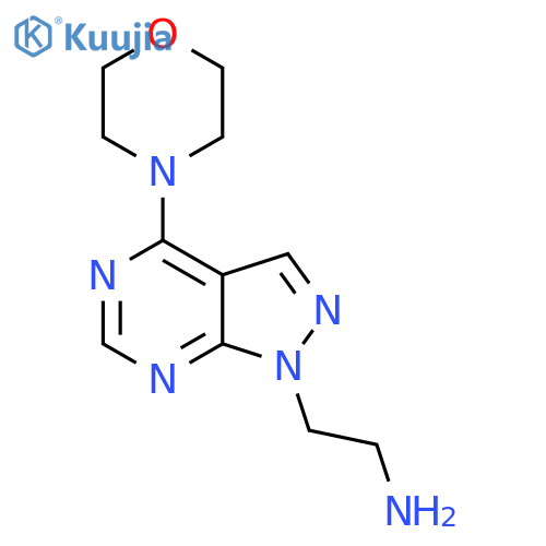 [2-(4-morpholin-4-yl-1H-pyrazolo[3,4-d]pyrimidin-1-yl)ethyl]amine structure