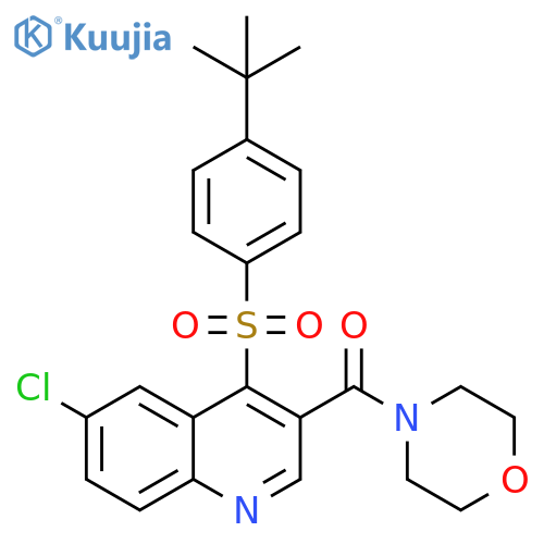 4-(4-tert-butylbenzenesulfonyl)-6-chloro-3-(morpholine-4-carbonyl)quinoline structure