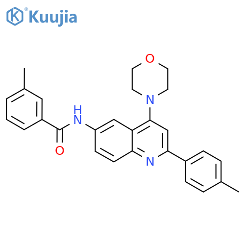 3-methyl-N-[2-(4-methylphenyl)-4-(morpholin-4-yl)quinolin-6-yl]benzamide structure