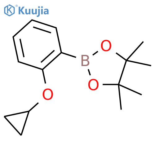 2-[2-(cyclopropoxy)phenyl]-4,4,5,5-tetramethyl-1,3,2-dioxaborolane structure