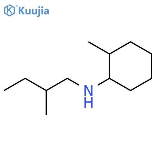 2-methyl-N-(2-methylbutyl)cyclohexan-1-amine structure
