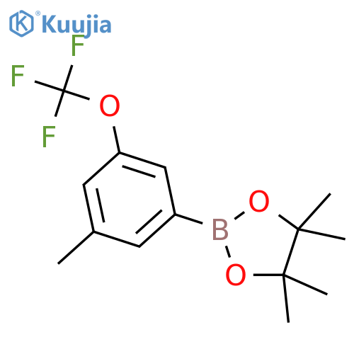 3-Methyl-5-(trifluoromethoxy)phenylboronic Acid Pinacol Ester structure