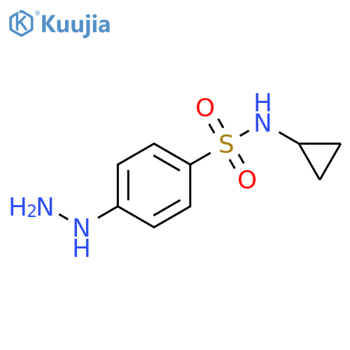 N-cyclopropyl-4-hydrazinylbenzene-1-sulfonamide structure