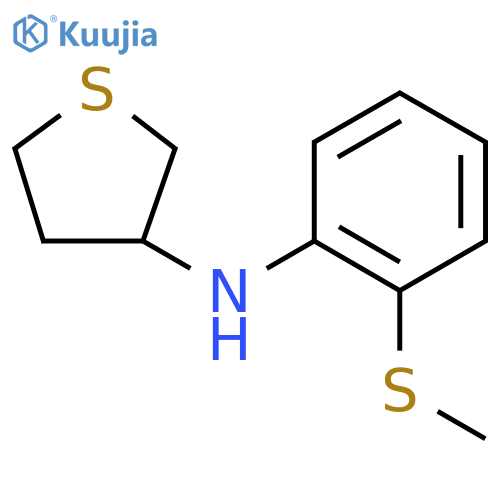 N-[2-(methylsulfanyl)phenyl]thiolan-3-amine structure