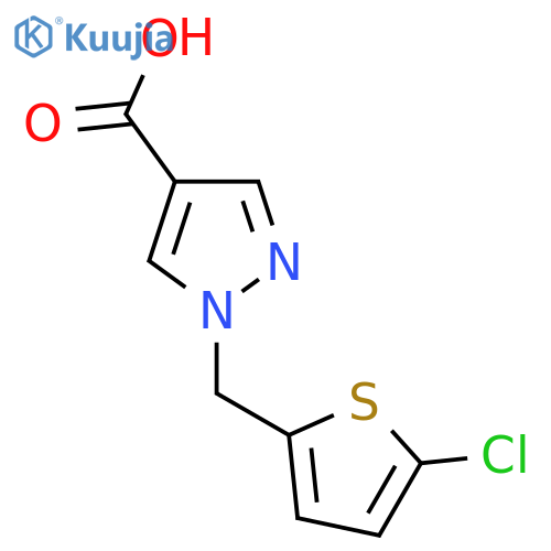 1-[(5-chlorothiophen-2-yl)methyl]-1H-pyrazole-4-carboxylic acid structure