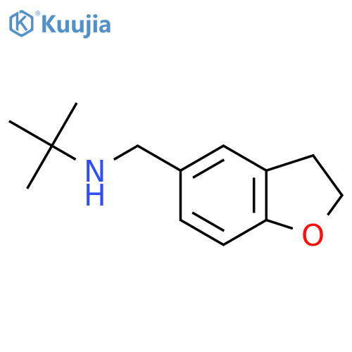 tert-butyl[(2,3-dihydro-1-benzofuran-5-yl)methyl]amine structure