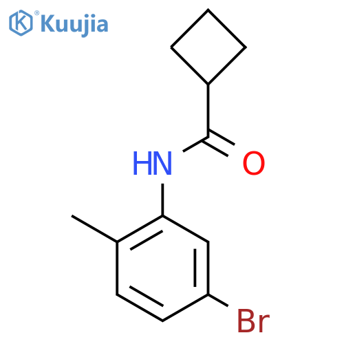N-(5-Bromo-2-methylphenyl)cyclobutanecarboxamide structure