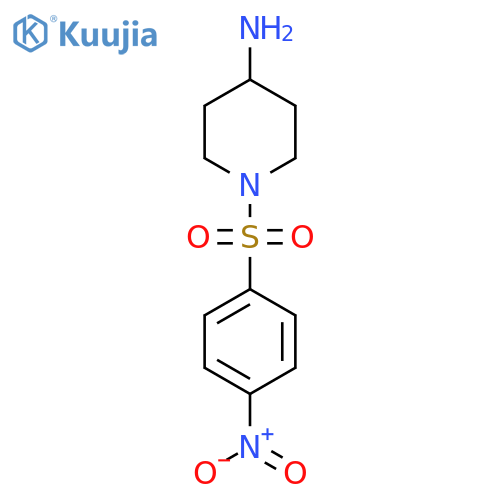 1-(4-nitrobenzenesulfonyl)piperidin-4-amine hydrochloride structure