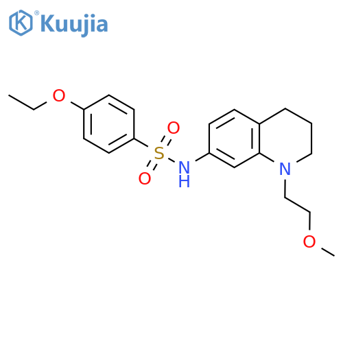 4-ethoxy-N-1-(2-methoxyethyl)-1,2,3,4-tetrahydroquinolin-7-ylbenzene-1-sulfonamide structure