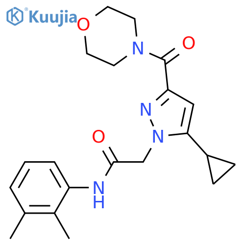 2-[5-cyclopropyl-3-(morpholine-4-carbonyl)-1H-pyrazol-1-yl]-N-(2,3-dimethylphenyl)acetamide structure