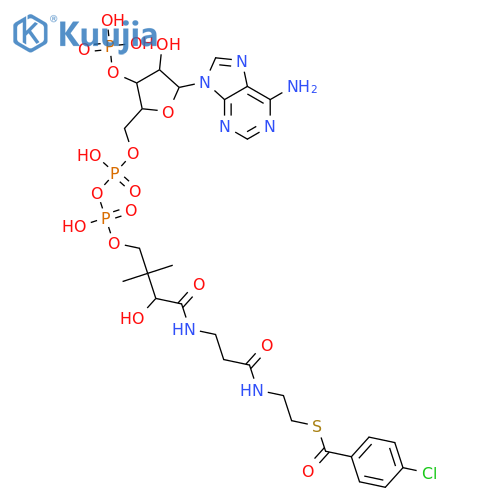 Coenzyme A, S-(4-chlorobenzoate) structure