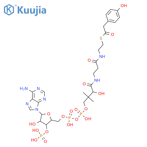 Coenzyme A, S-(4-hydroxybenzeneacetate) structure