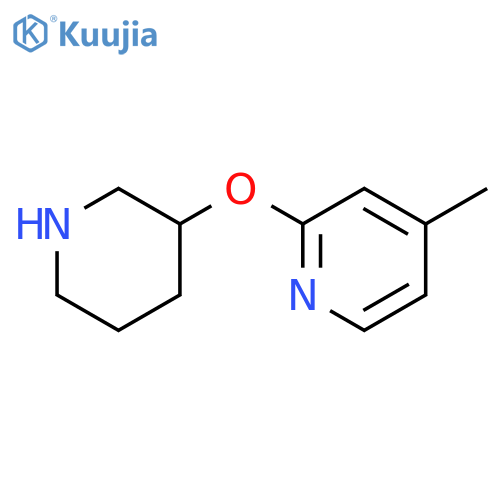 4-methyl-2-(piperidin-3-yloxy)pyridine structure
