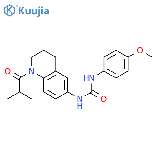 1-(4-methoxyphenyl)-3-[1-(2-methylpropanoyl)-1,2,3,4-tetrahydroquinolin-6-yl]urea structure