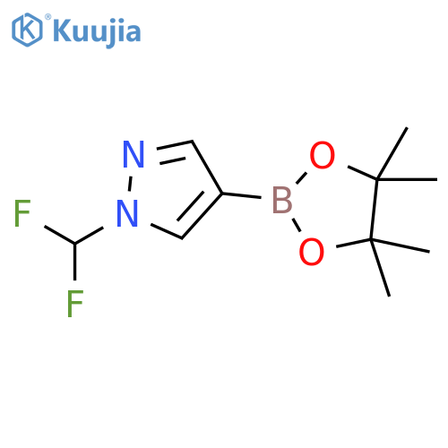 1-(difluoromethyl)-4-(tetramethyl-1,3,2-dioxaborolan-2-yl)-1H-pyrazole structure