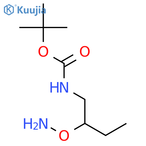 Carbamic acid,[2-(aminooxy)butyl]-, 1,1-dimethylethyl ester (9CI) structure