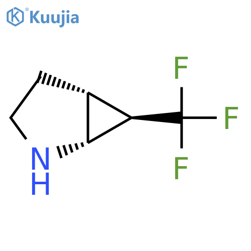 rel-(1R,5R,6R)-6-(Trifluoromethyl)-2-azabicyclo[3.1.0]hexane structure