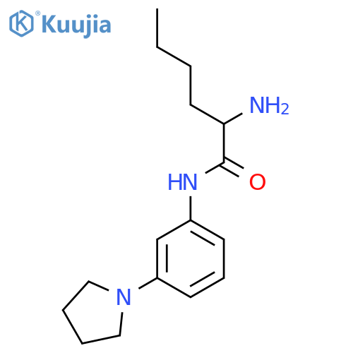 2-Amino-N-3-(pyrrolidin-1-yl)phenylhexanamide structure