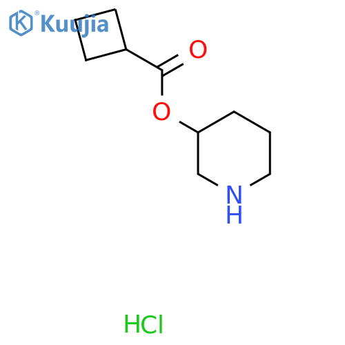 3-Piperidinyl cyclobutanecarboxylate hydrochloride structure