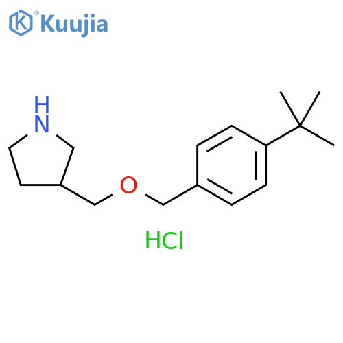 4-(tert-Butyl)benzyl3-pyrrolidinylmethylether Hydrochloride structure