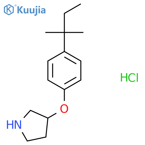 4-(tert-Pentyl)phenyl 3-pyrrolidinyl etherhydrochloride structure