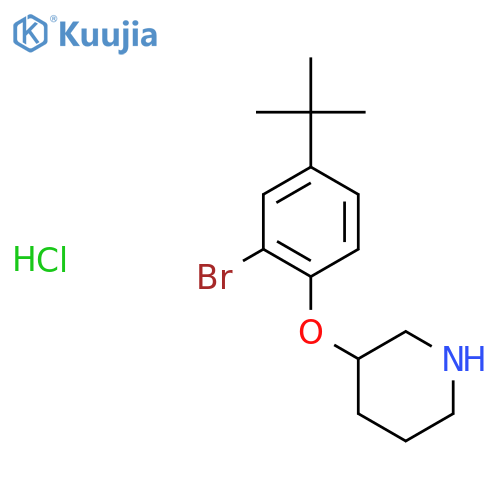 3-2-Bromo-4-(tert-butyl)phenoxypiperidinehydrochloride structure