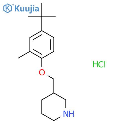 3-{4-(tert-Butyl)-2-methylphenoxy-methyl}piperidine hydrochloride structure