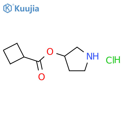 3-Pyrrolidinyl cyclobutanecarboxylatehydrochloride structure