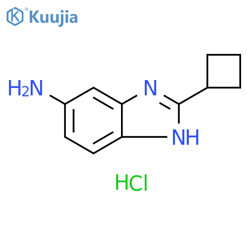2-cyclobutyl-1H-1,3-benzodiazol-5-amine dihydrochloride structure