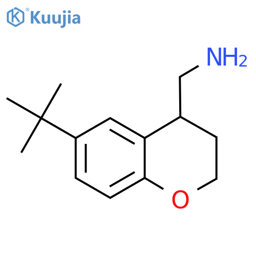 (6-tert-butyl-3,4-dihydro-2H-1-benzopyran-4-yl)methanamine structure