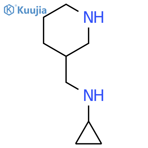 N-[(piperidin-3-yl)methyl]cyclopropanamine structure