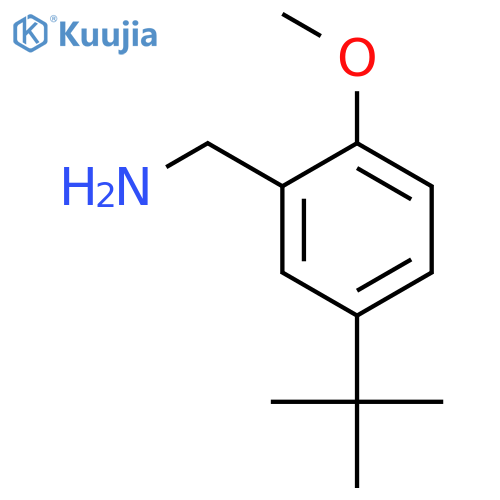 (5-tert-butyl-2-methoxyphenyl)methanamine structure