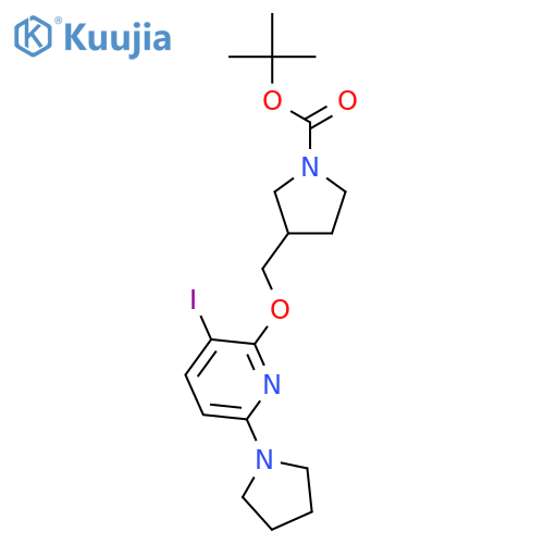 tert-Butyl 3-((3-iodo-6-(pyrrolidin-1-yl)pyridin-2-yloxy)methyl)pyrrolidine-1-carboxylate structure